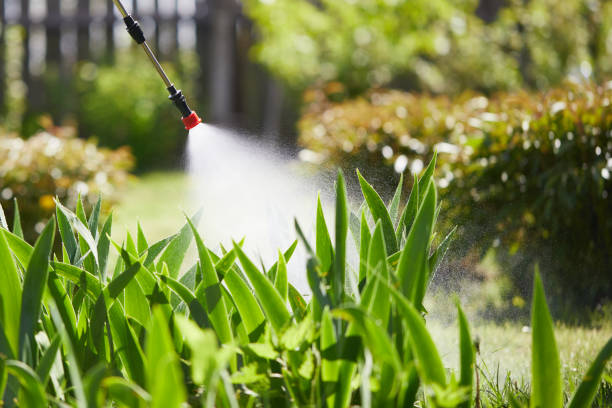 24/7 Emergency Mosquito Control experts in Mikes, TX